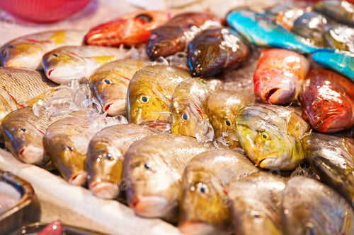 Preview: Different kinds of fish for sale at fish market in Asia
