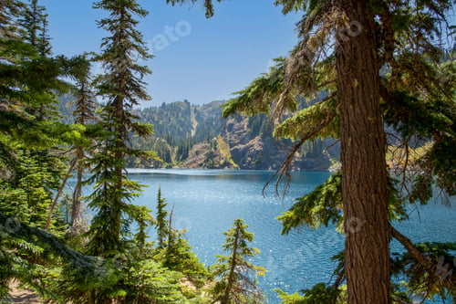Preview: Pristine alpine lake viewed through forest pine trees sunny day.