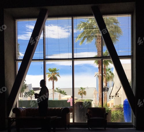 Preview: Looking out on the world