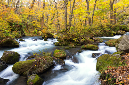 Preview: Oirase Mountain Stream