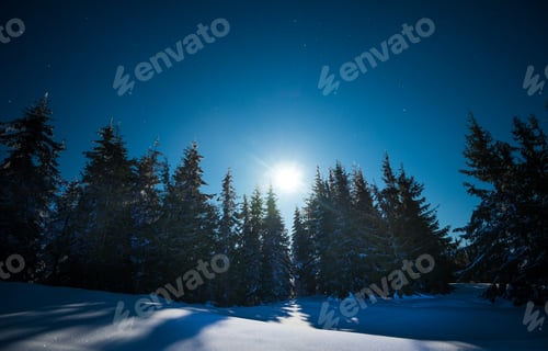 Preview: Wonderful beautiful winter landscape