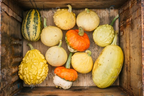 Preview: Pumpkins