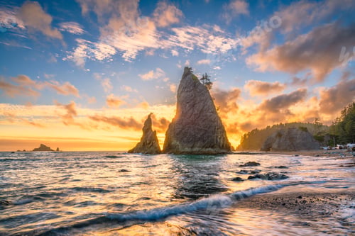 Preview: Olympic National Park, Washington, USA Beach