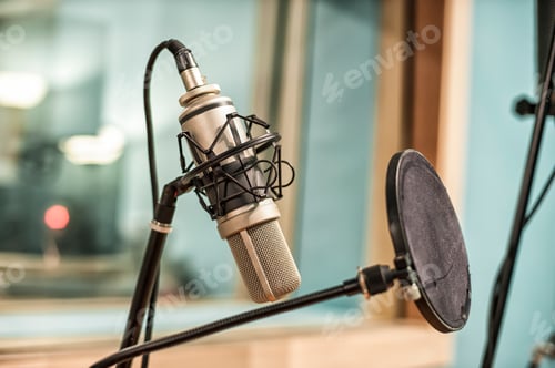 Preview: Microphone in recording studio