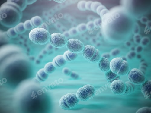 Preview: Streptococcus pneumoniae or pneumococcus bacterias