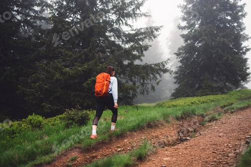 Preview: A person running through a misty forest, navigating over tree roots and muddy ground. The scene capt