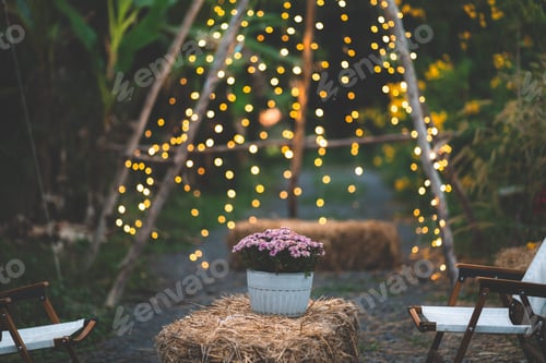 Preview: decoration of plant and flower in cafe garden or home outdoor, nature green plant decorate
