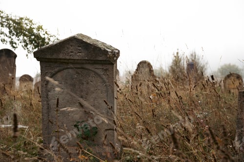 Preview: Spooky Cemetery. Halloween background