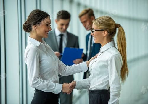 Preview: Businesswomen handshake in office.