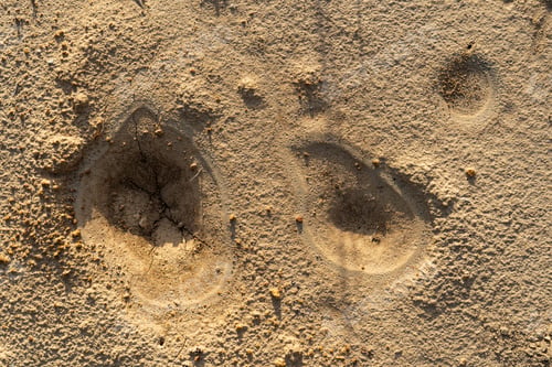 Preview: Ground surface with relief formed by water droplets