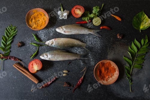 Preview: Raw fish on a dark background
