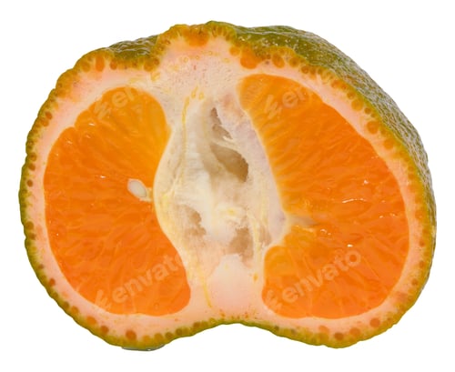 Preview: Juicy slice of hybrid citrus Murcotta with bright orange flesh and thick, bumpy skin