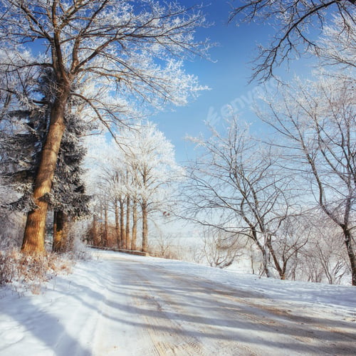 Preview: the winter road. Dramatic scene. Carpathian, Ukraine, Europe.