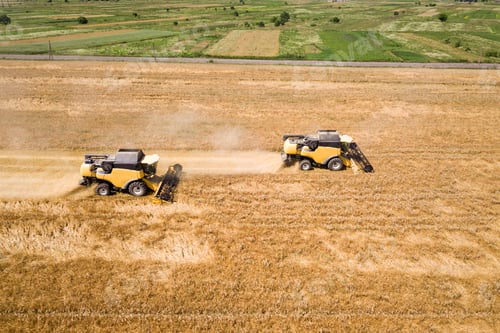 Preview: Aerial view of combine harvesters harvesting large yellow ripe wheat field.