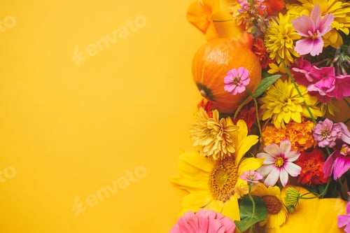 Preview: Stylish autumn flat lay. Colorful flowers, pumpkins, squashes border on yellow. Happy Thanksgiving