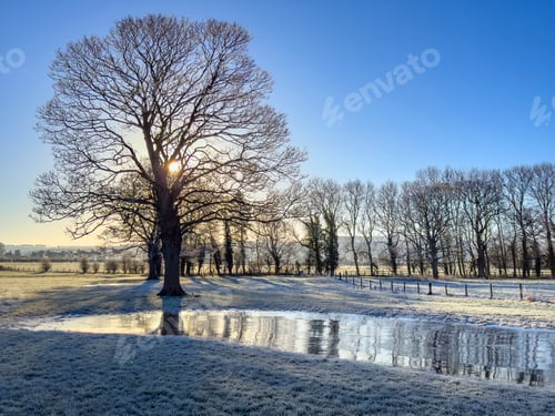 Preview: Frosty morning in the countryside - northeast England