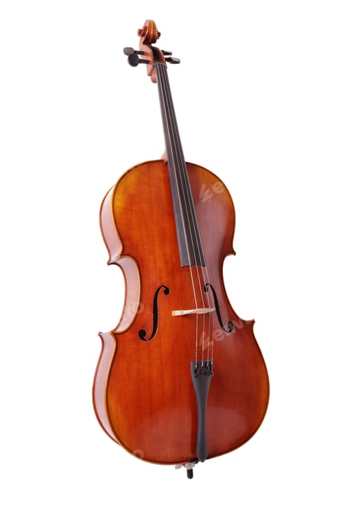 Preview: Cello isolated on white background