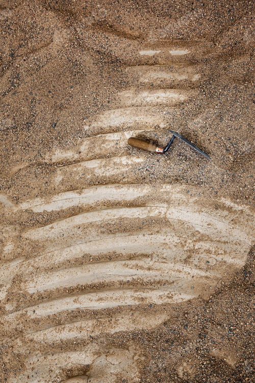 Preview: Explorer work in the sand