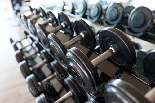Preview: Dumbbell equipment in fitness gym room