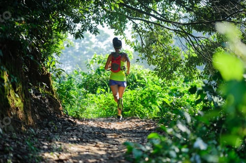 Preview: Young woman trail runner running in sunrise tropical forest