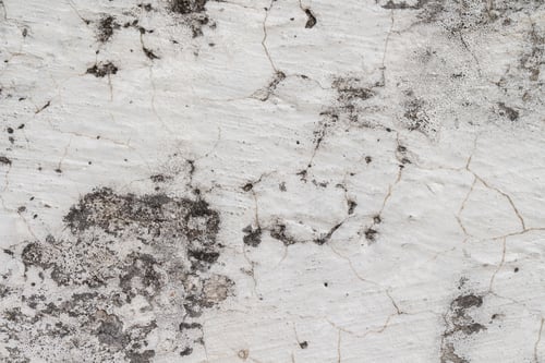Preview: white concrete wall texture