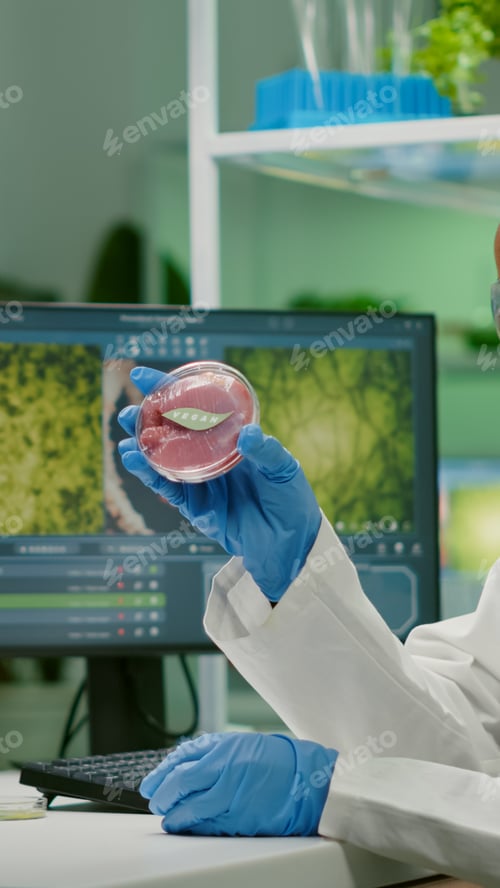 Preview: Chemist researcher typing microbiology expertise of vegan beef meat