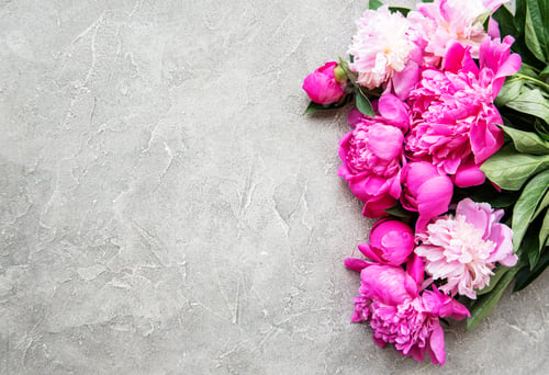 Preview: Spring peonies