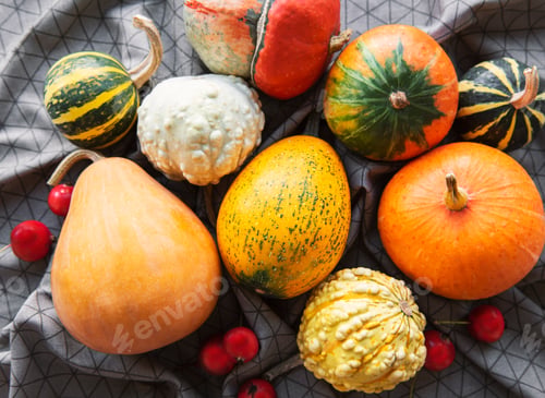 Preview: Pumpkins
