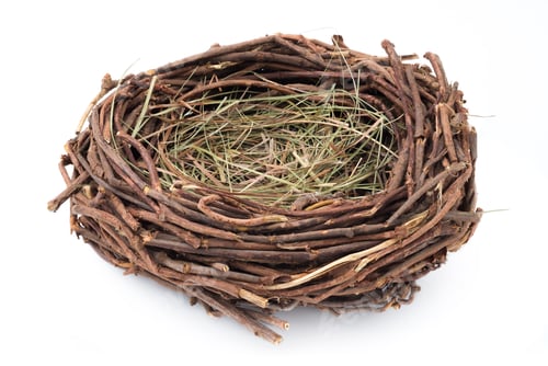 Preview: Empty nest