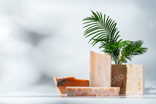 Preview: Granite stone with branch green leaf on studio background