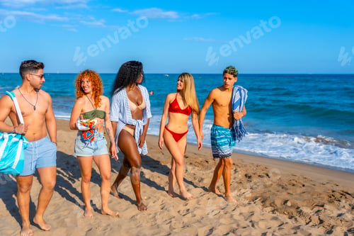 Preview: Happy friends walking on the beach during summer vacation