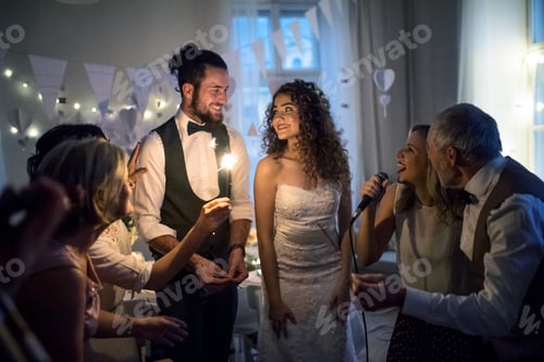 Preview: A young bride and groom with other guests dancing and singing on a wedding reception.
