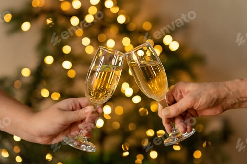 Preview: two women of different ages hold wineglasses of champagne in their hands, celebrate a joyful event