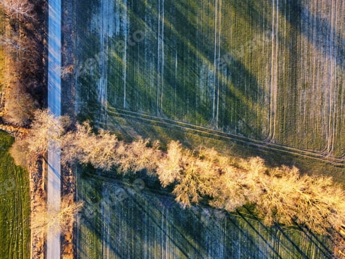 Preview: Aerial view of an agricultural field