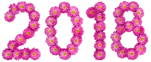 Preview: Numeral 2018 from flower of chrysanthemum, isolated on white background