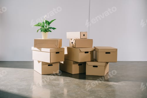 Preview: stacked cardboard boxes and potted plant during relocation