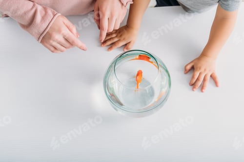 Preview: partial view of woman and boy near aquarium with bright gold fish