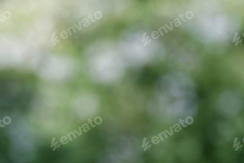 Preview: background