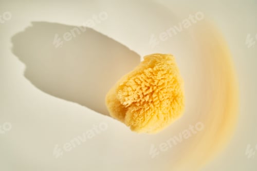 Preview: Natural sea sponge for face and body in the sun.