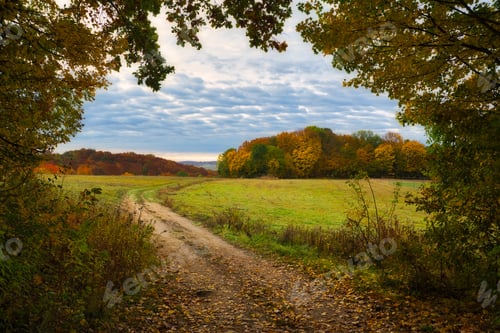 Preview: Landscape of Bakony hills , famous travel place in Hungary