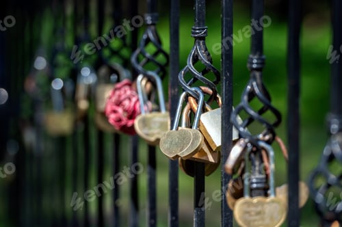 Preview: Heart-Shaped Padlocks on Iron Fence in Sunny Park During Daytime. Blurred background with copy space