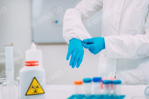 Preview: Scientist Preparing For Lab Work with Blue Gloves