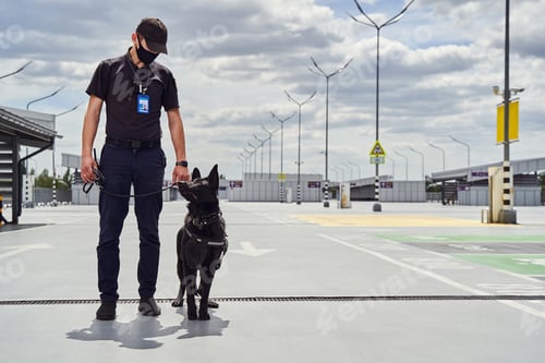 Preview: Security officer and police dog patrolling territory of airport
