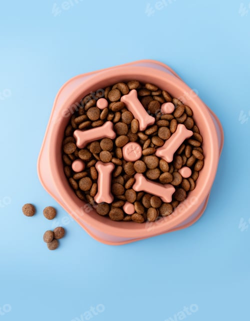 Preview: Cat and dog orange slow Feeding Bowl on blue background