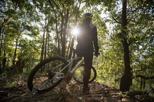 Preview: Mountain biking in spring forest