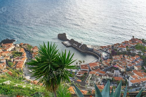 Preview: High angle shot of the buildings and houses by the ocean captured in Madeira, Portugal