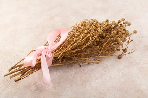 Preview: a top view garmala plant dried with pink bow on the pink desk plant color photo