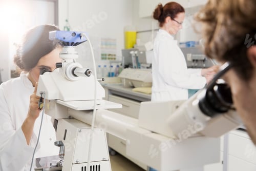 Preview: Scientists working in laboratory, microscope