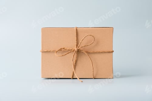 Preview: Woman carrying gift paper box tie cute ribbon for special occasion