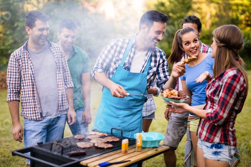 Preview: Happy friends enjoying barbecue party in forest